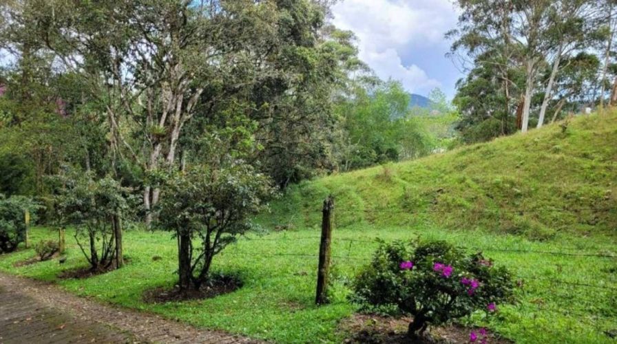 Lote en venta en Pontezuela, Rionegro, 26352 m² · foto 5 de 19