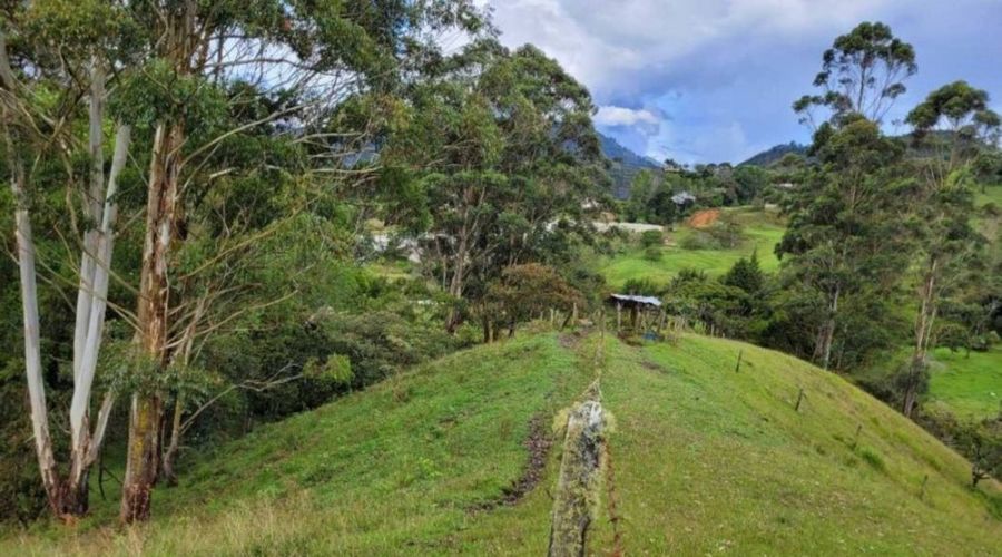 Lote en venta en Pontezuela, Rionegro, 26352 m² · foto 8 de 19