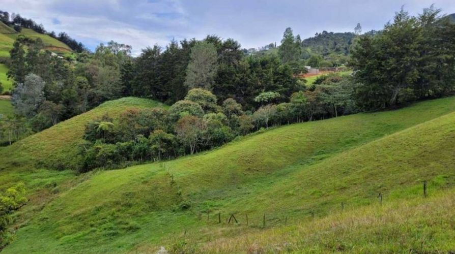 Lote en venta en Pontezuela, Rionegro, 26352 m² · foto 9 de 19