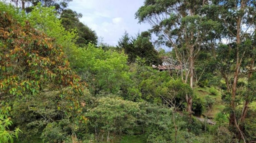 Lote en venta en Pontezuela, Rionegro, 26352 m² · foto 12 de 19