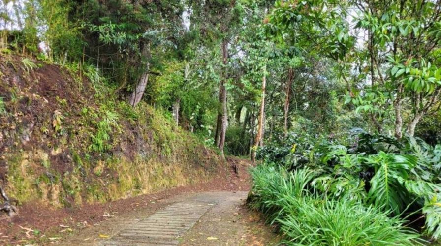 Lote en venta en Pontezuela, Rionegro, 26352 m² · foto 15 de 19