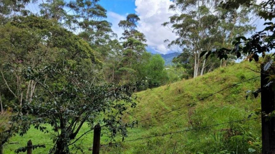 Lote en venta en Pontezuela, Rionegro, 26352 m² · foto 16 de 19
