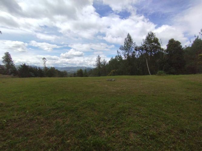 Lote en venta en Puente Pelaez, El Retiro, 2500 m² · foto 2 de 14