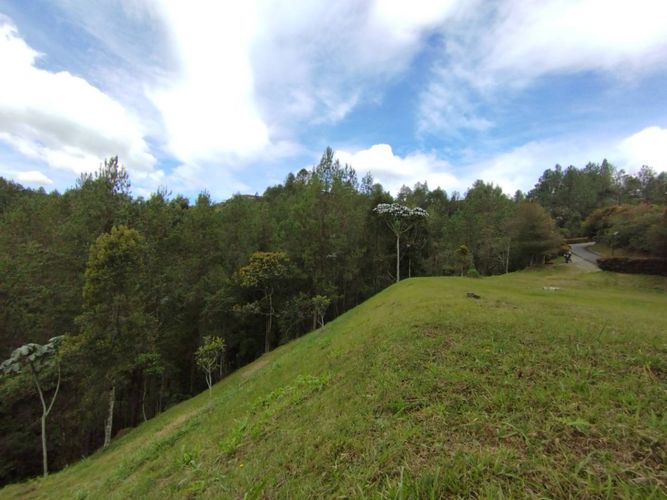 Lote en venta en Puente Pelaez, El Retiro, 2500 m² · foto 4 de 14