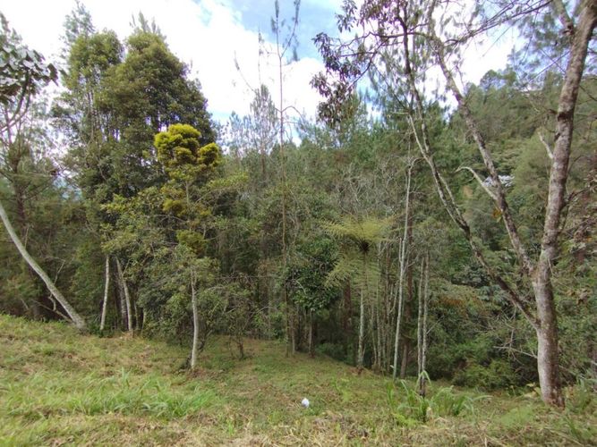 Lote en venta en Puente Pelaez, El Retiro, 2500 m² · foto 7 de 14