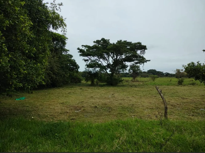 Lote en venta en Cr. San Cayetano, Jamundí, 4969 m² · foto 2 de 3