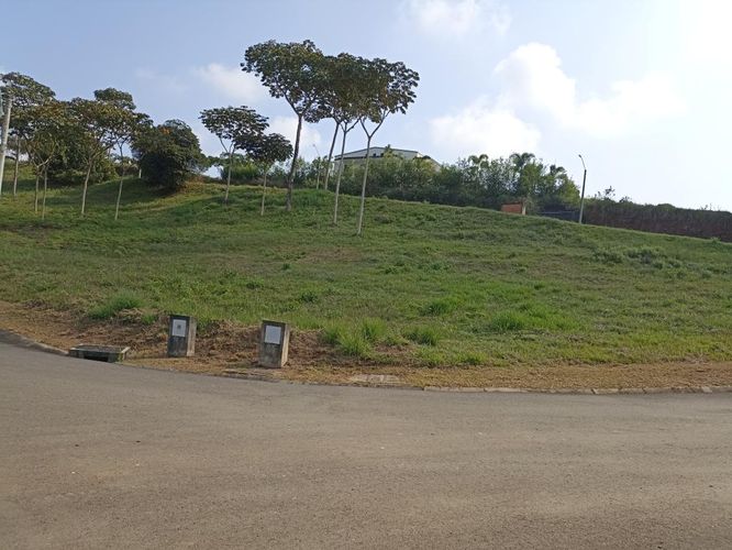 Lote en venta en Pance, Cali, 7414 m² · foto 4 de 9