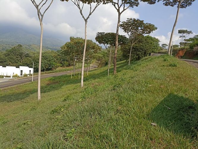 Lote en venta en Pance, Cali, 7414 m² · foto 7 de 9