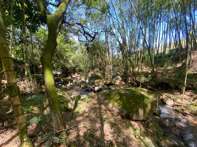 Lote en venta en Pance, Cali, 5 m² · foto 12 de 12