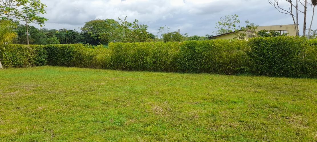 Lote en venta en Cairo Alto, Villavicencio, 1250 m² · foto 3 de 7
