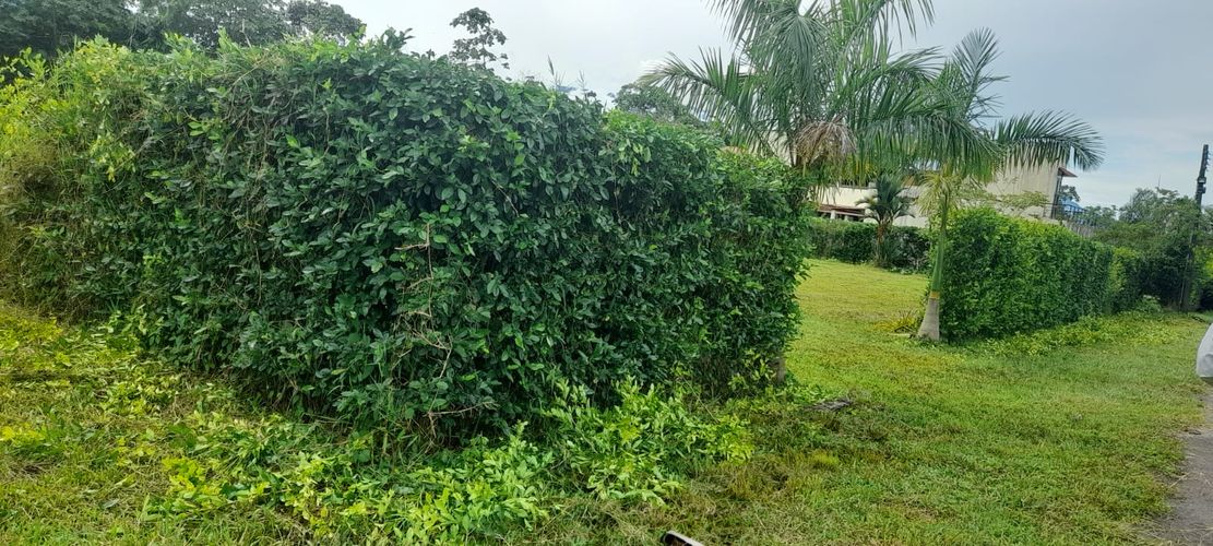 Lote en venta en Cairo Alto, Villavicencio, 1250 m² · foto 5 de 7
