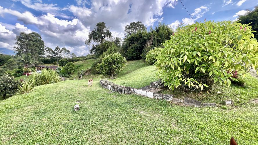 Finca en venta en La Aldea, La Estrella, 468 m² · foto 8 de 20
