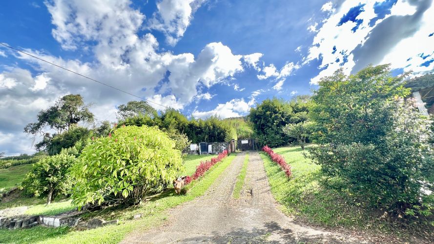 Finca en venta en La Aldea, La Estrella, 468 m² · foto 9 de 20