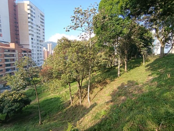Lote en venta en Vegas De La Doctora, Sabaneta, 12591 m² · foto 2 de 8