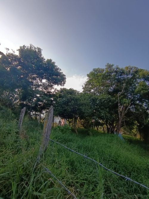 Lote en venta en Vegas De La Doctora, Sabaneta, 12591 m² · foto 6 de 8