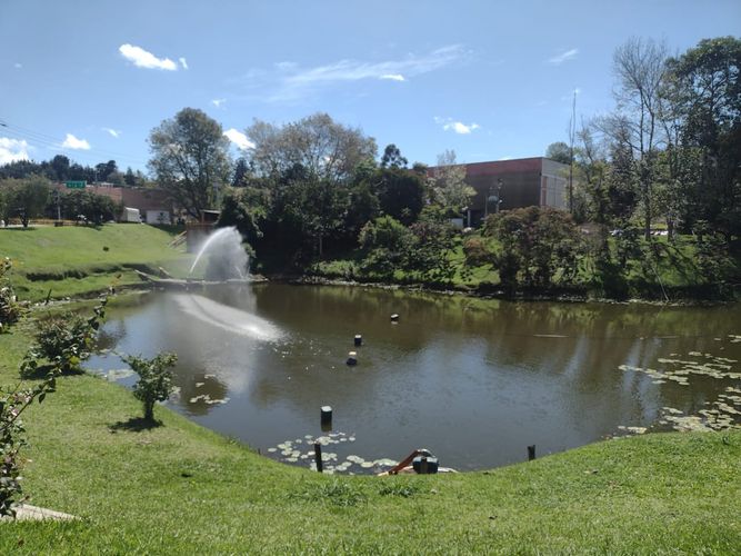 Bodega en arriendo en Chachafruto, Rionegro, 1348 m² · foto 7 de 7