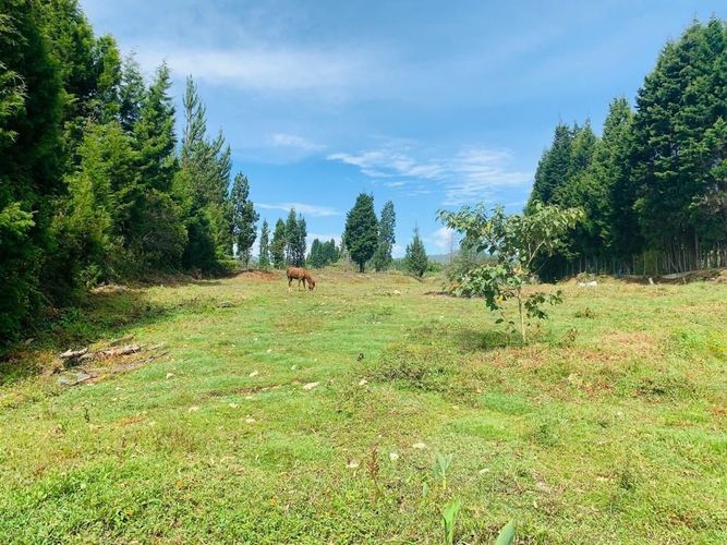 Finca en venta en Hojas Anchas, Guarne, 9450 m² · foto 13 de 24