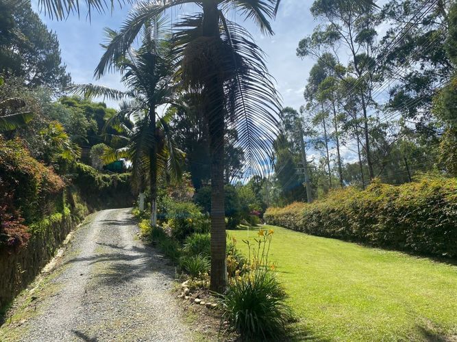 Finca en venta en Hojas Anchas, Guarne, 9450 m² · foto 14 de 24