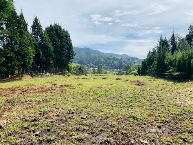 Finca en venta en Hojas Anchas, Guarne, 9450 m² · foto 16 de 24