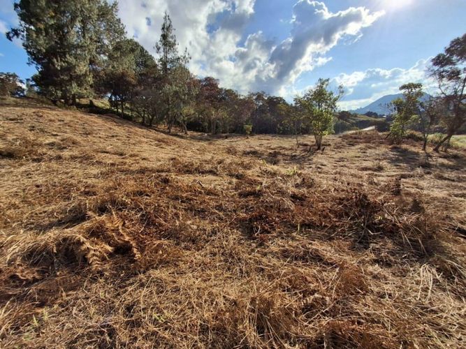 Lote en venta en El Tambo, Rionegro, 2999 m² · foto 2 de 5