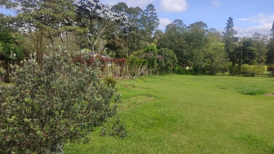 Finca en arriendo en San Antonio De Pereira, Rionegro, 250 m² · foto 4 de 19