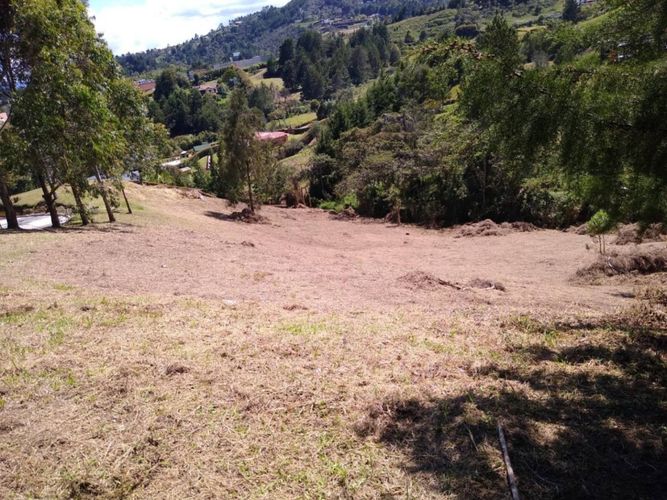 Lote en venta en Sajonia, Rionegro, 5744 m² · foto 3 de 4