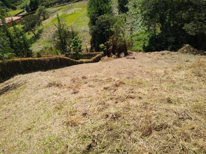 Lote en venta en Sajonia, Rionegro, 5744 m² · foto 4 de 4