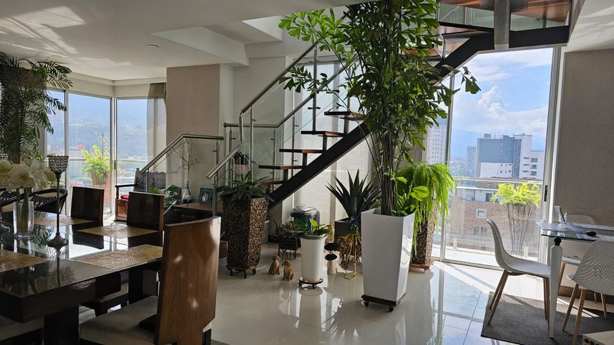 Apartamento de 4 alcobas en venta en Sotomayor, Bucaramanga, 340 m² · foto 19 de 24