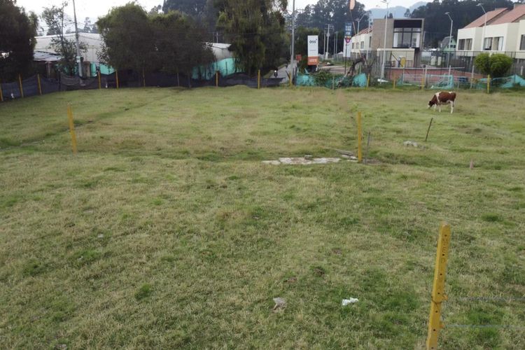 Lote en venta en Cartagenita, Mosquera, 5221 m² · foto 5 de 7
