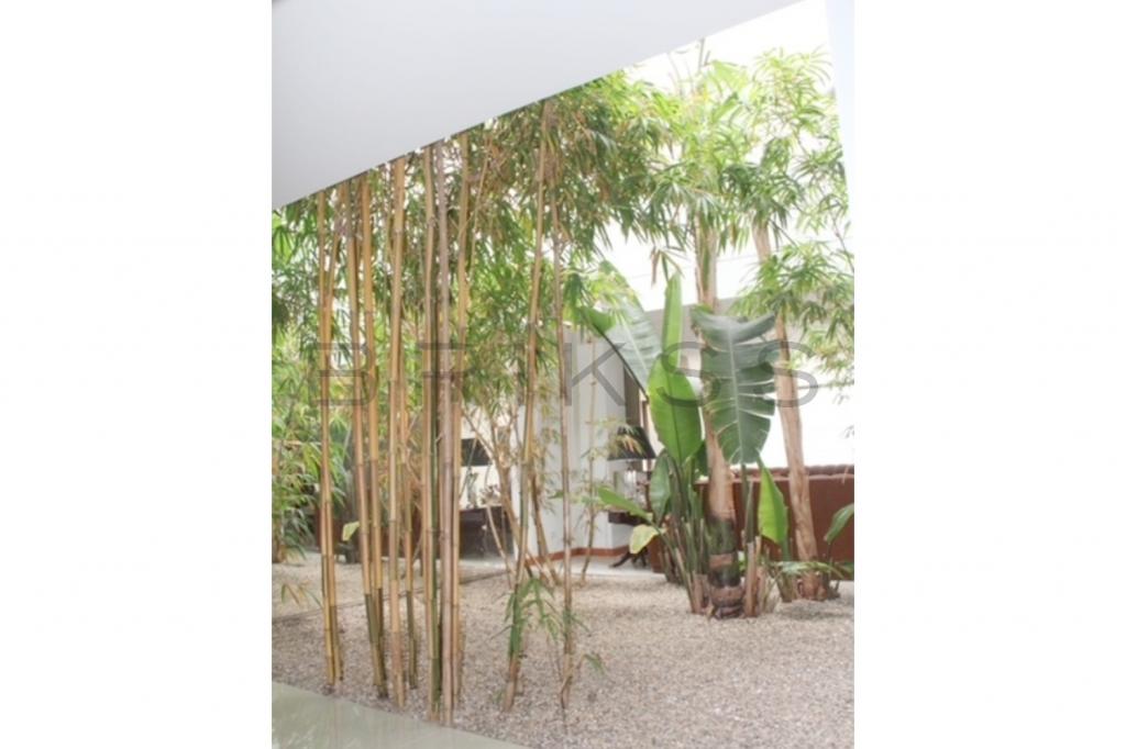 Casa en venta en Santa Ana, Bogotá · foto 4 de 23