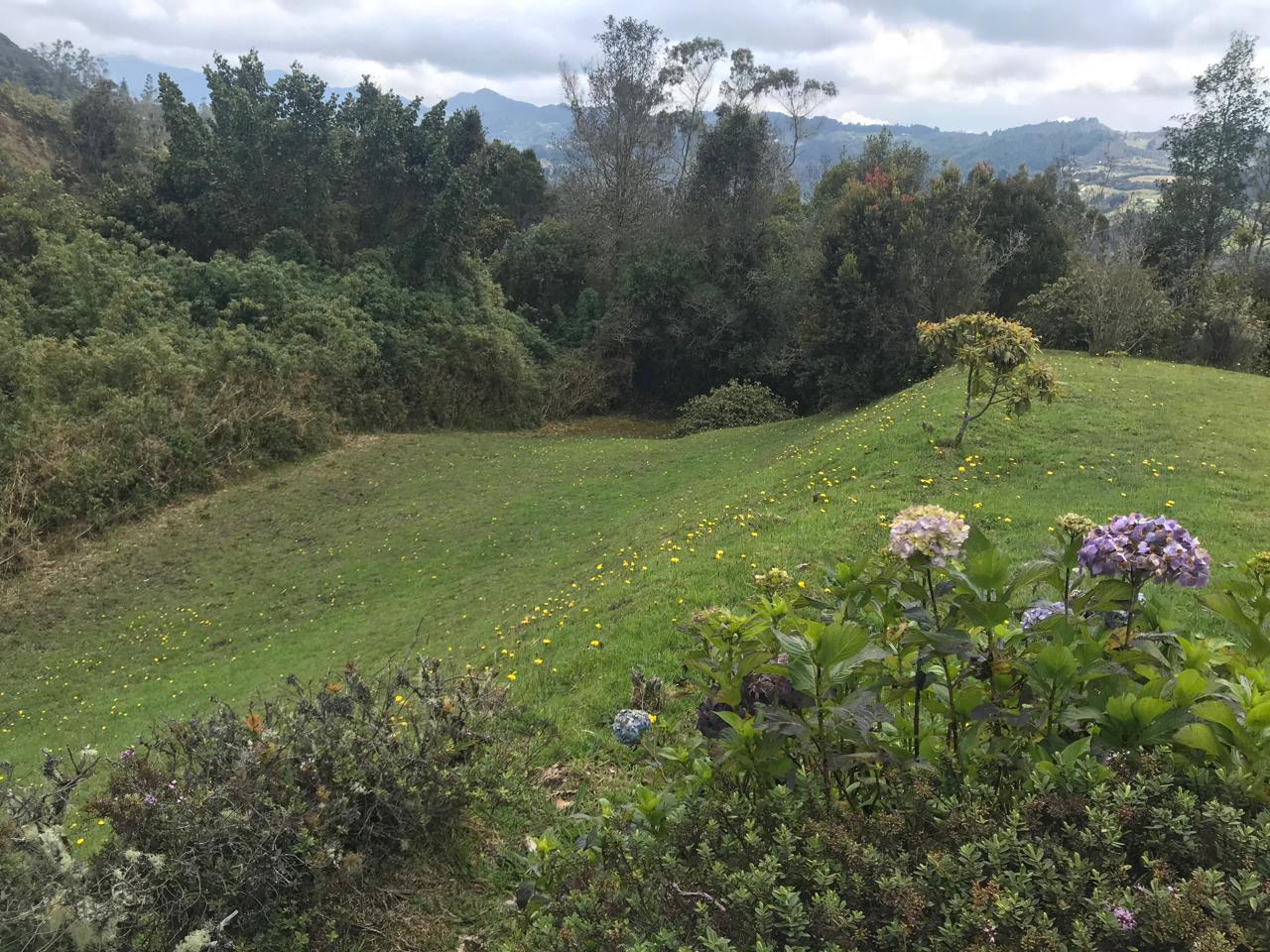 Casa en venta en El Hato, La Calera · foto 13 de 18
