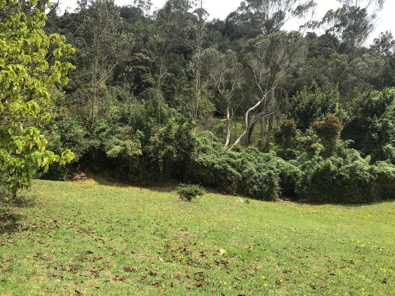 Casa en venta en El Hato, La Calera · foto 14 de 18