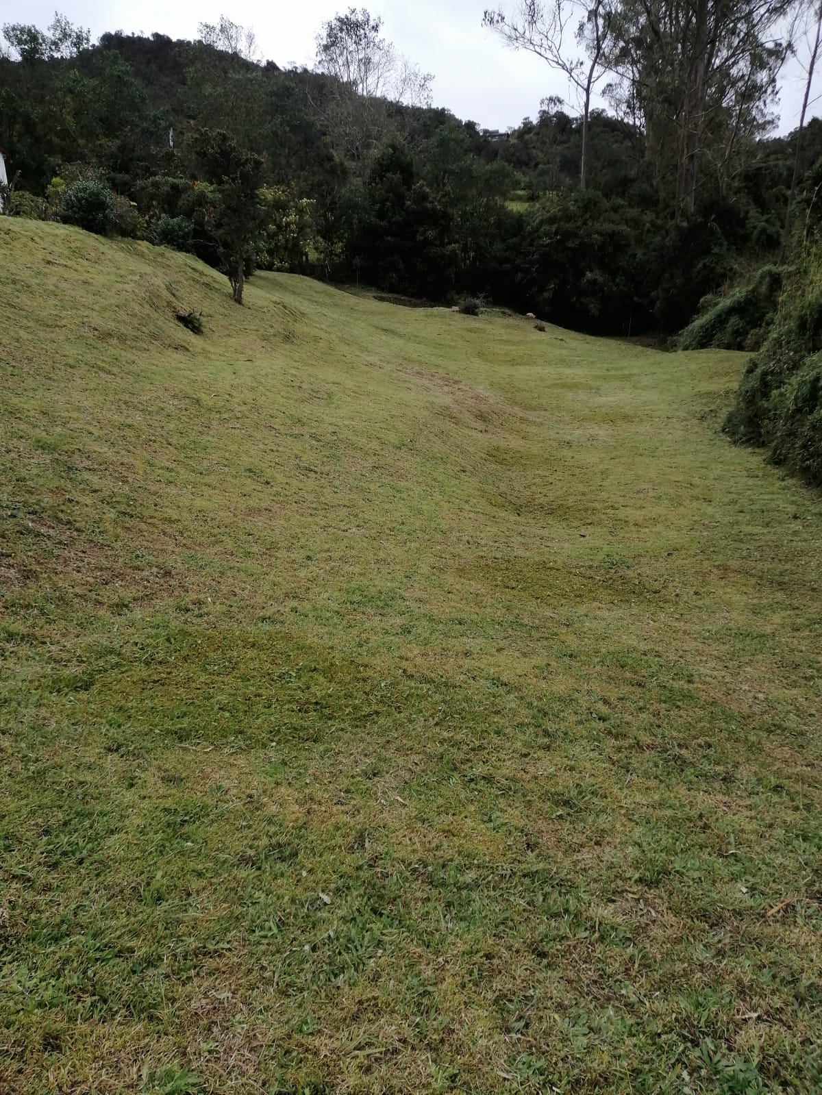 Casa en venta en El Hato, La Calera · foto 7 de 18