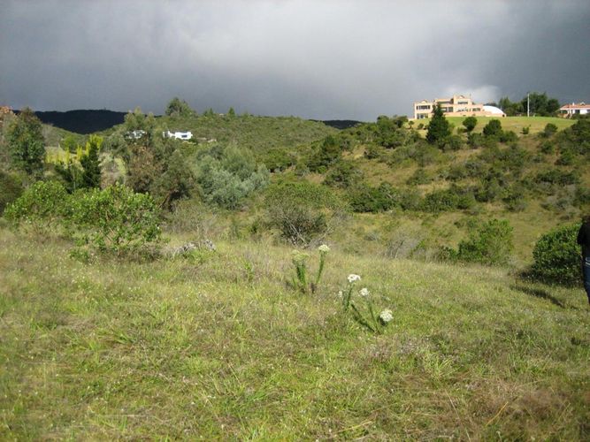 Lote en venta en Yerbabuena, Chía, 15000 m² · foto 2 de 6