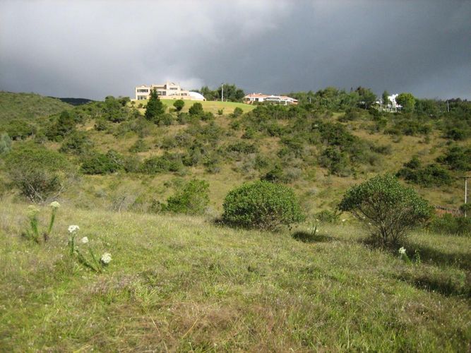 Lote en venta en Yerbabuena, Chía, 15000 m² · foto 4 de 6