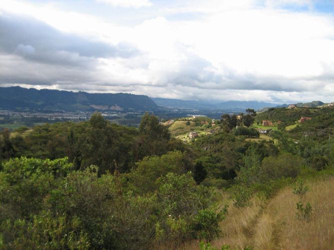Lote en venta en Yerbabuena, Chía, 15000 m² · foto 5 de 6