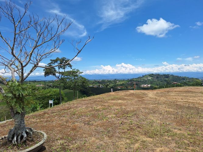 Lote en venta en San Jose Sur, Pereira, 1500 m² · foto 3 de 18
