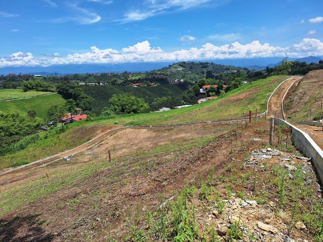 Lote en venta en San Jose Sur, Pereira, 1500 m² · foto 4 de 18