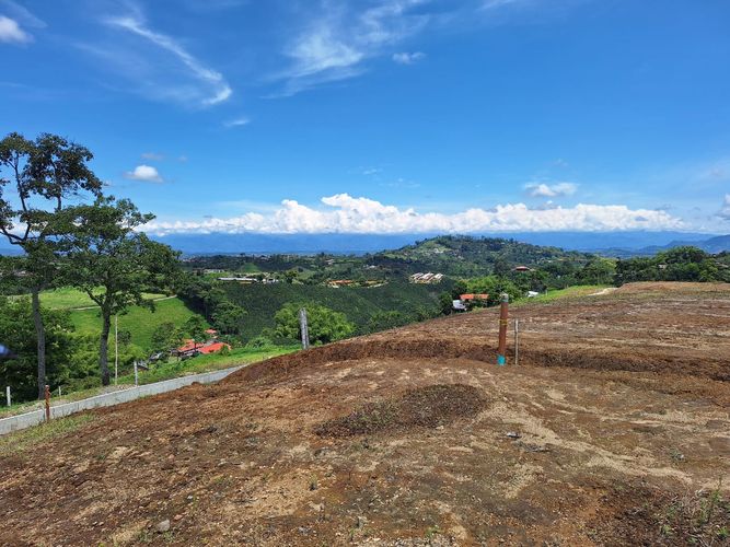 Lote en venta en San Jose Sur, Pereira, 1500 m² · foto 5 de 18