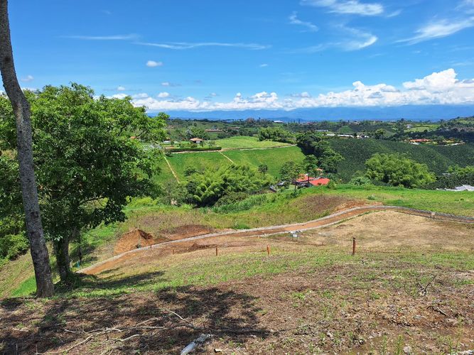 Lote en venta en San Jose Sur, Pereira, 1500 m² · foto 7 de 18