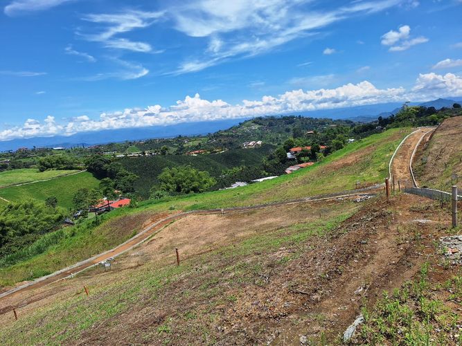 Lote en venta en San Jose Sur, Pereira, 1500 m² · foto 8 de 18
