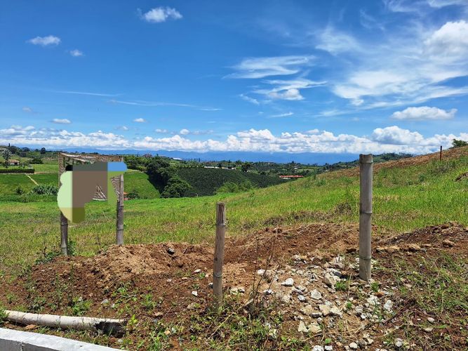 Lote en venta en San Jose Sur, Pereira, 1500 m² · foto 12 de 18