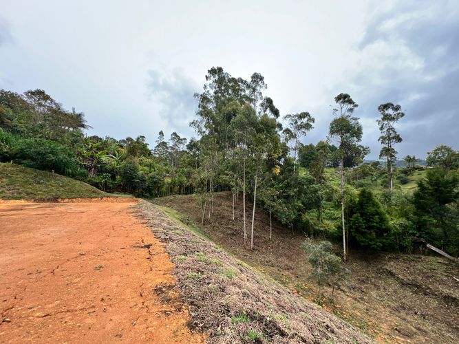 Lote en venta en El Salado, Guarne, 3125 m² · foto 2 de 9