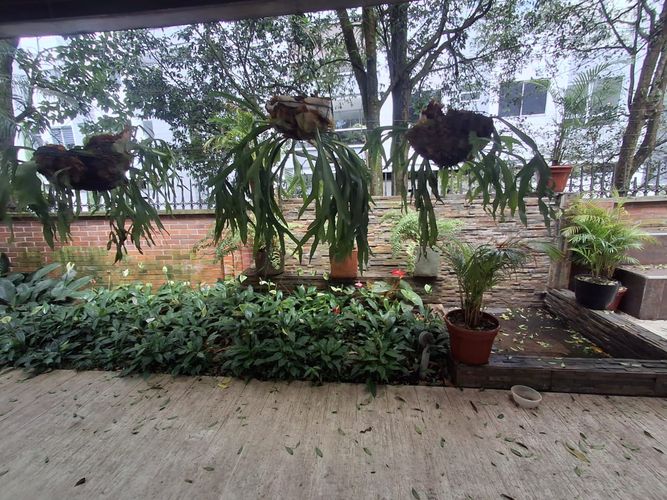 Casa de 4 alcobas en venta en Zuñiga, Envigado, 294 m² · foto 7 de 20