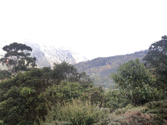 Finca en venta en Kilometro 18, Cali, 500 m² · foto 3 de 3