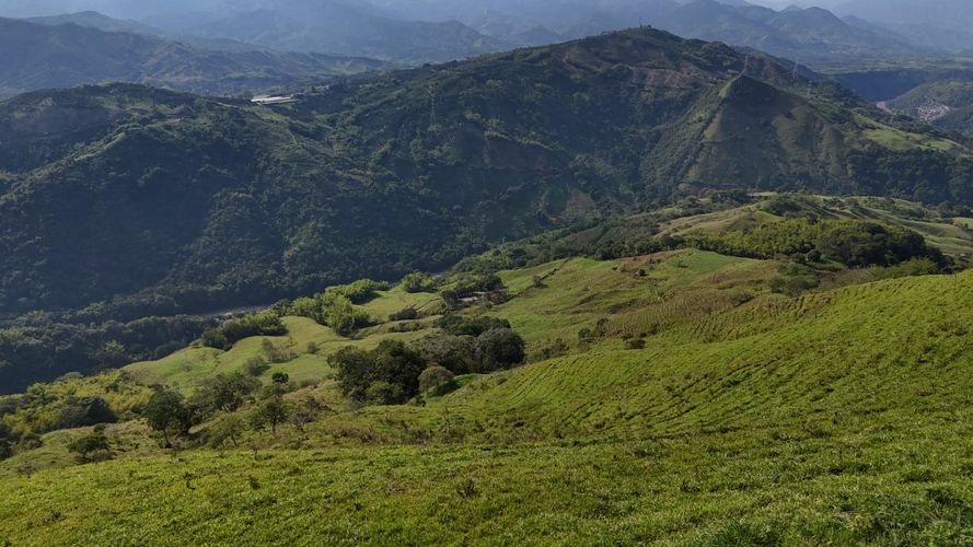Lote en venta en Santagueda, Manizales, 50000 m² · foto 3 de 16