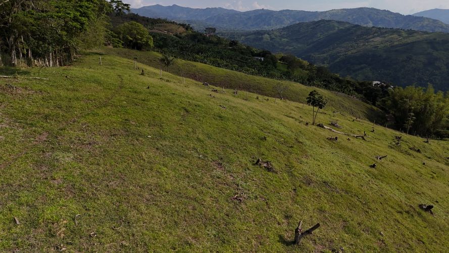 Lote en venta en Santagueda, Manizales, 50000 m² · foto 4 de 16