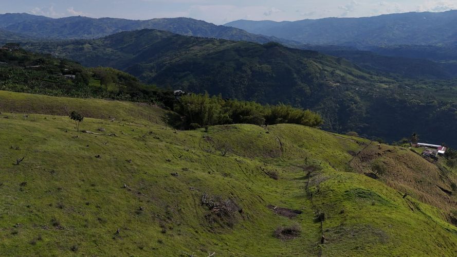 Lote en venta en Santagueda, Manizales, 50000 m² · foto 6 de 16