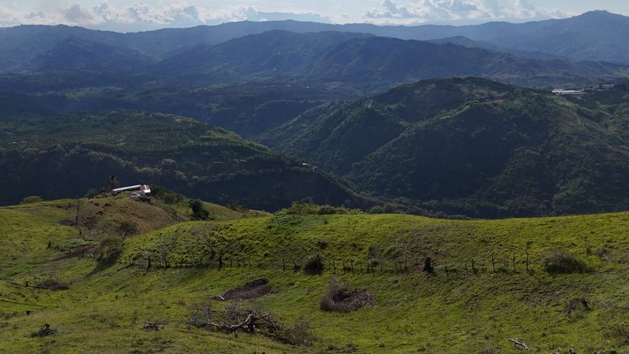 Lote en venta en Santagueda, Manizales, 50000 m² · foto 7 de 16