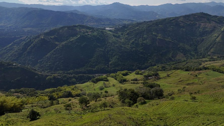 Lote en venta en Santagueda, Manizales, 50000 m² · foto 8 de 16